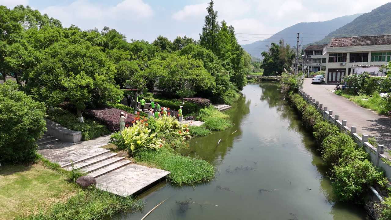 河边绿意盎然的悠闲时光