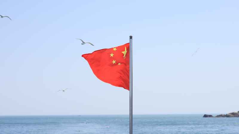 国旗+海鸥系列 爱国氛围感拉满 4