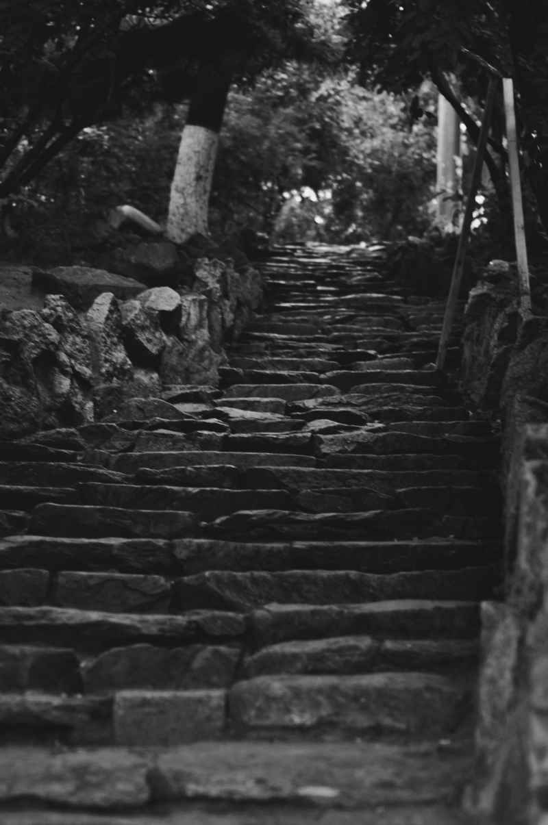 登顶的路