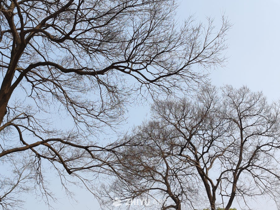 天空