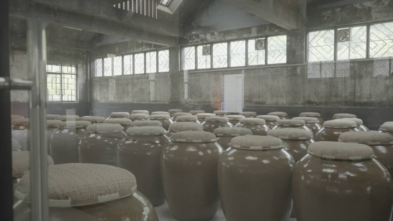 洞天盛境 10