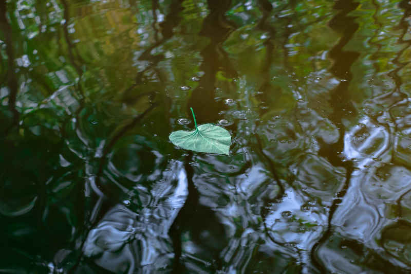 随波漂流