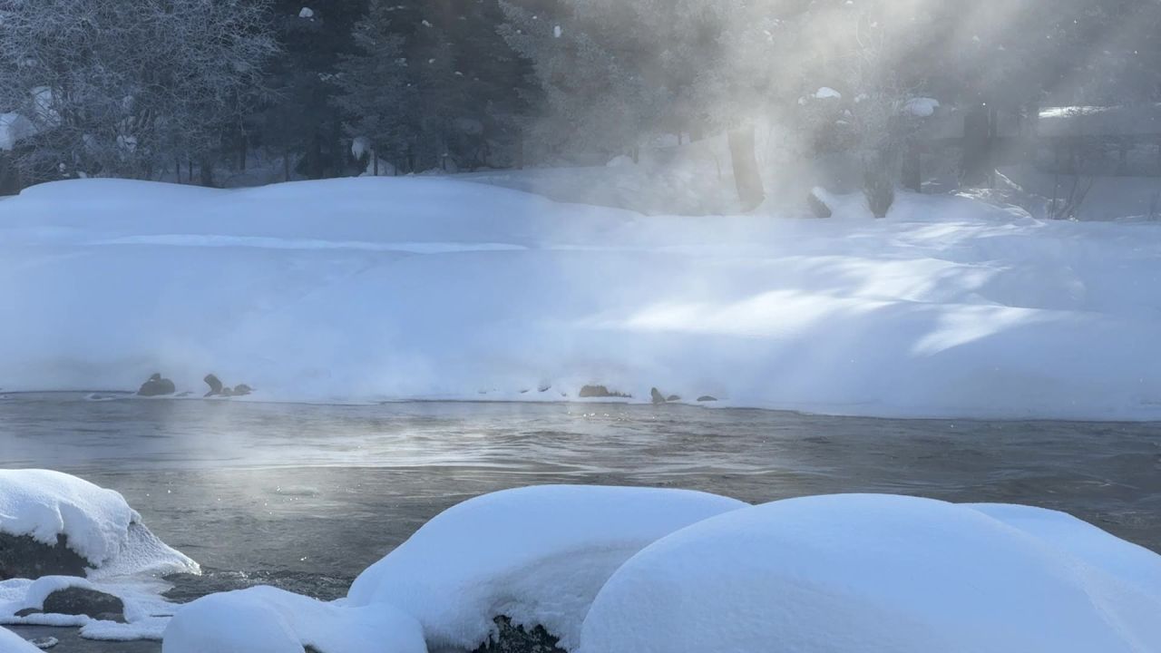 喀纳斯晨雾丁达尔雪溪流
