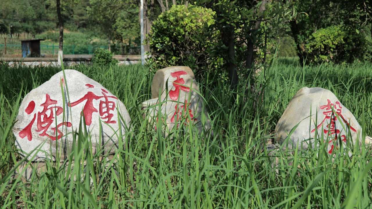 城市景色 2