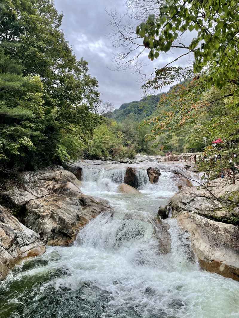 秦岭一路大箭沟