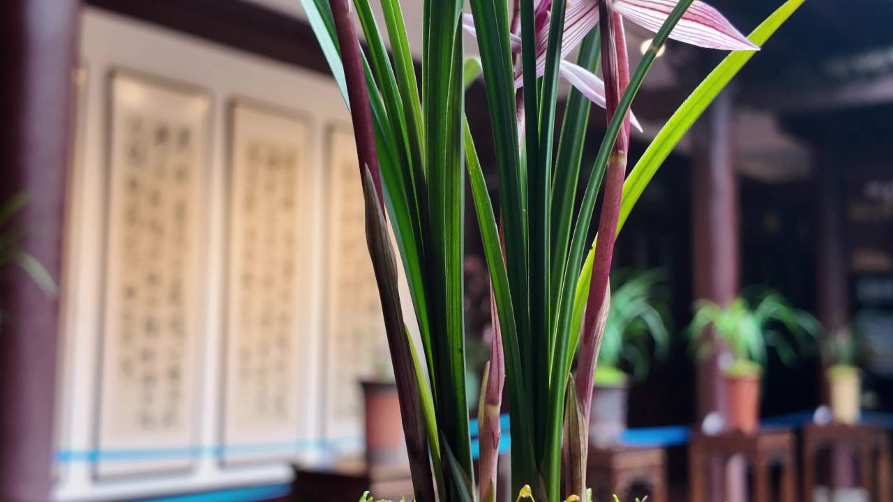 DJI_20250306111717_0168_D