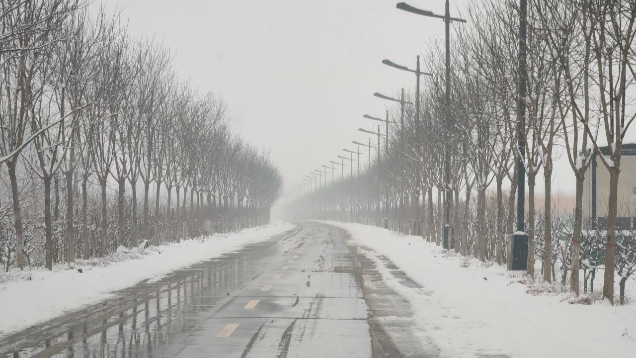 冬天下雪后的马路