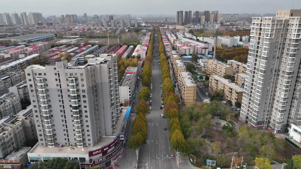 城市秋景航拍