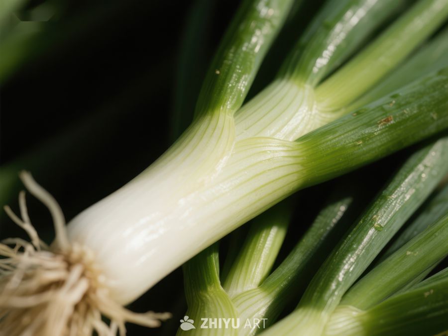 新鲜大葱的特写镜头 405