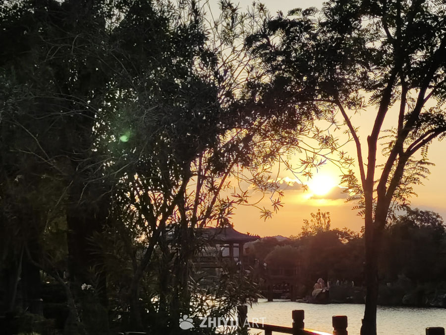 湖畔日落树影