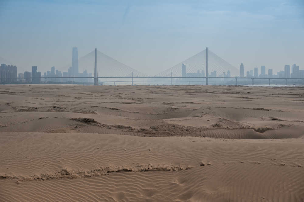 武汉天兴洲湿地