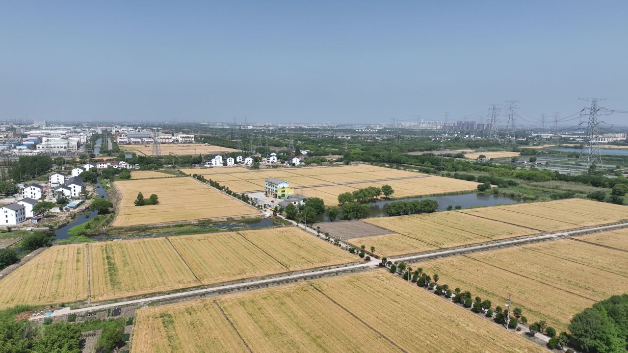 4K航拍昆山农业夏收 16