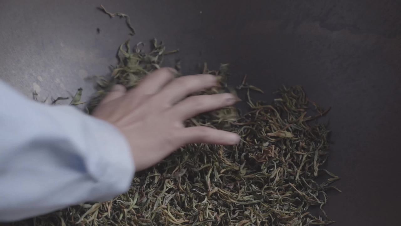 茶叶翻炒过程