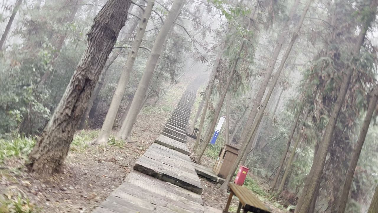 桃花源景区