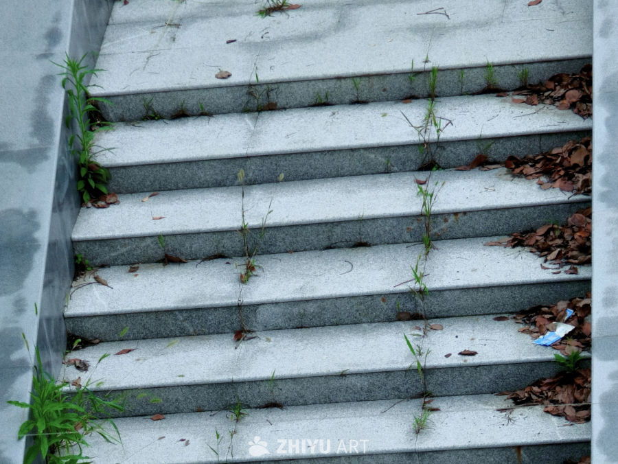 雨后的石阶素材