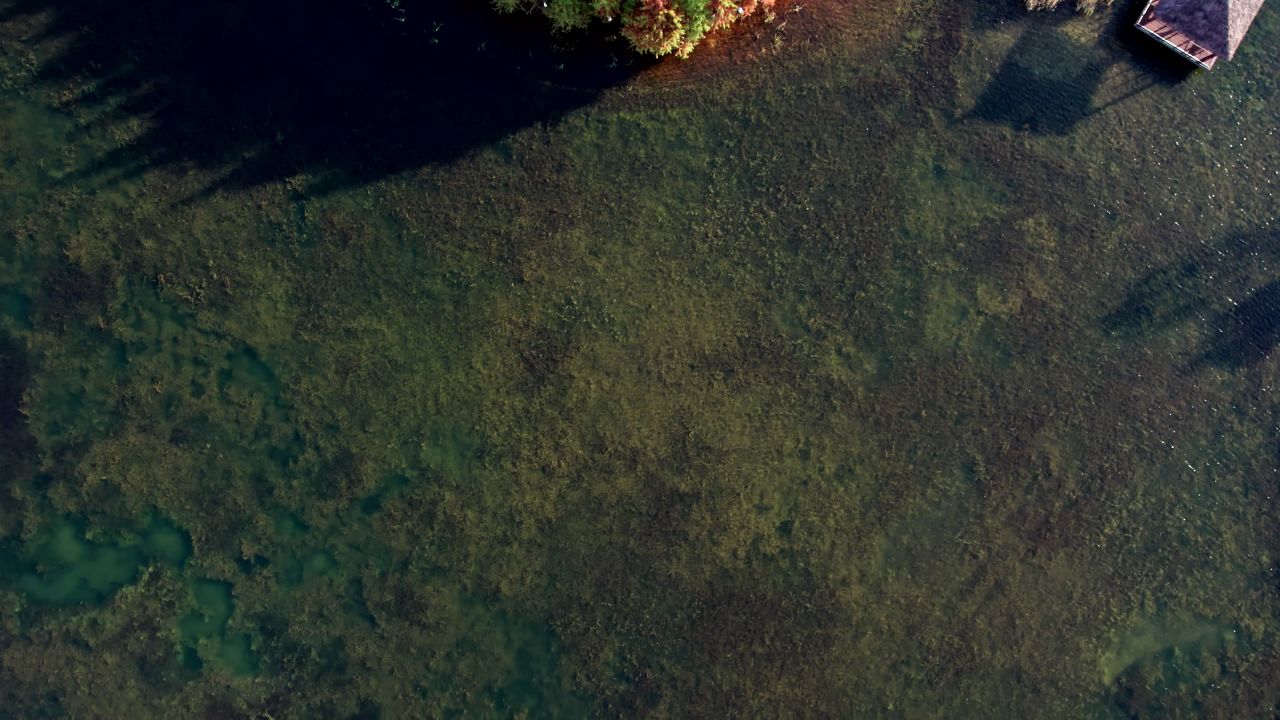 长沙松雅湖湿地公园水杉秋景航拍
