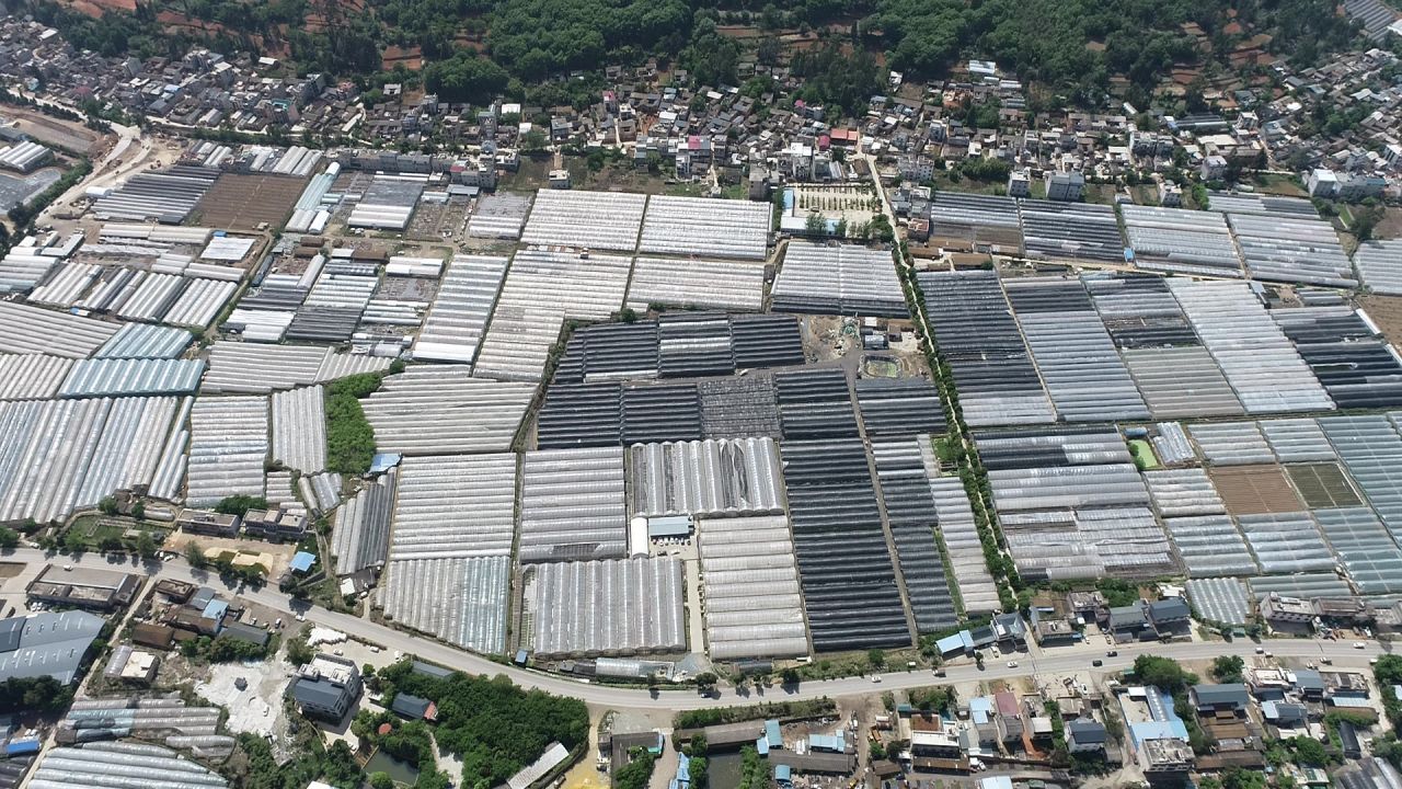 塑料大棚 蔬菜花卉种植基地6