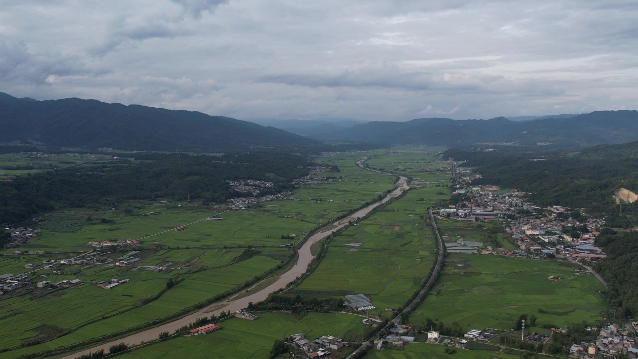 一条小河穿过绿色的水稻流向远方