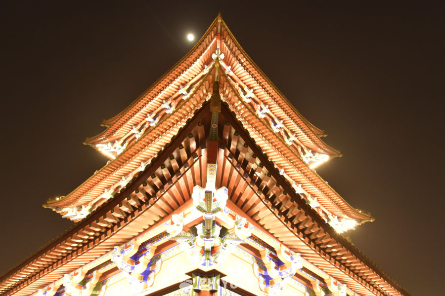 古塔夜景