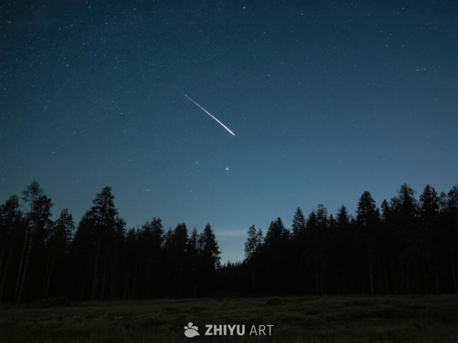夜空流星划过森林 275