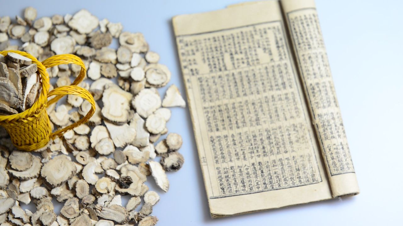 中药材白芷 19