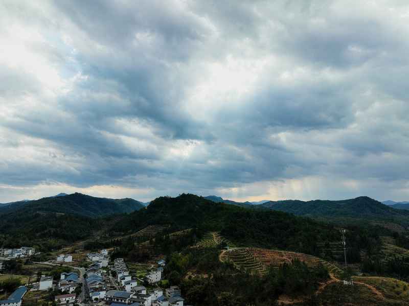 山 11