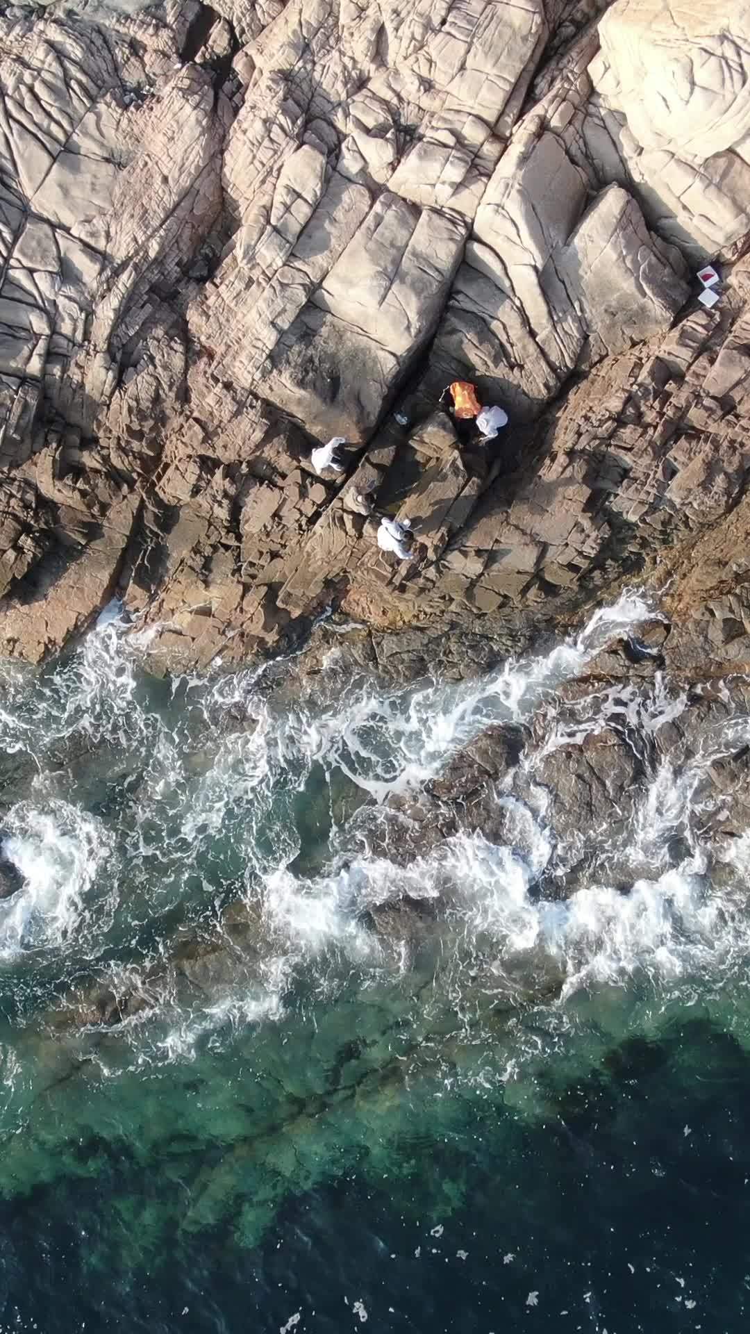 海边岩石上的悠闲时光