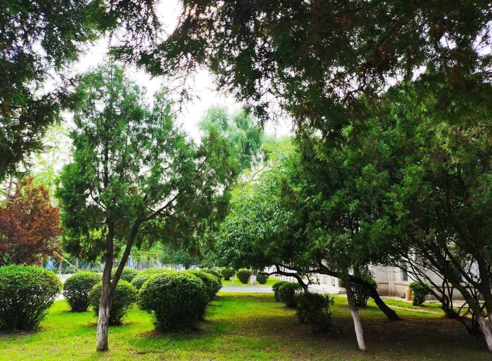 东北大学风景2