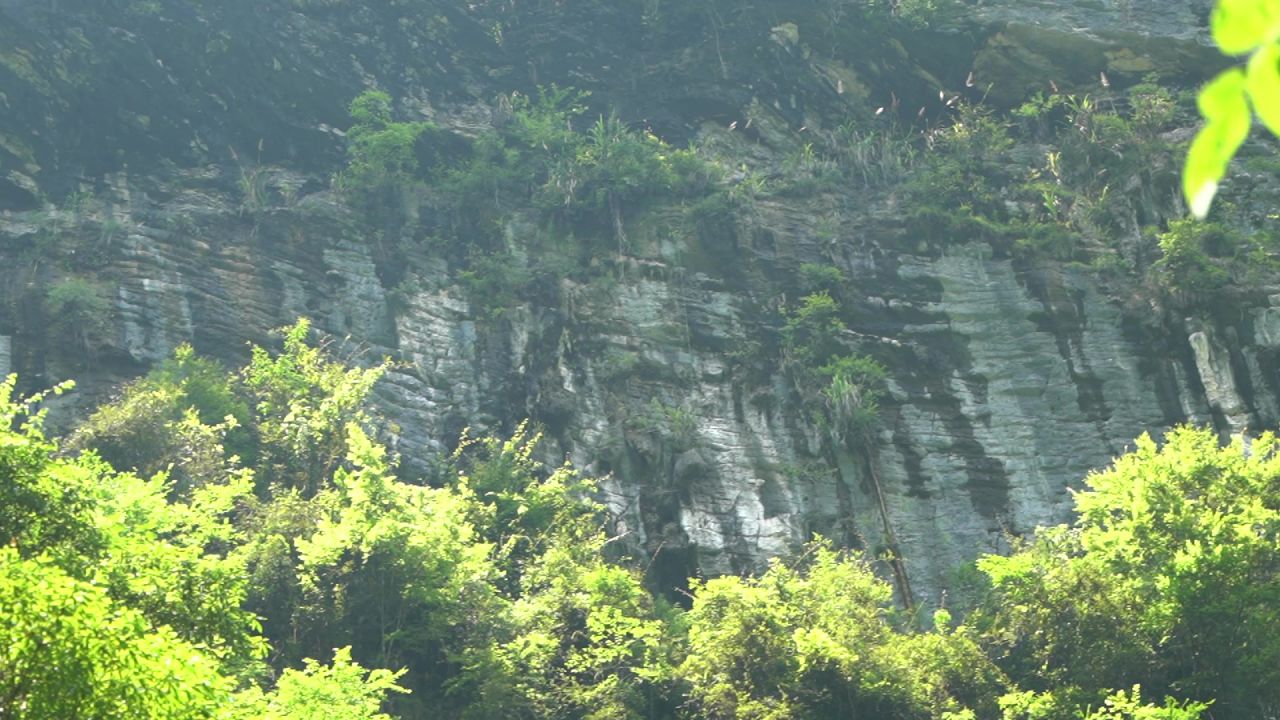 C0055 30