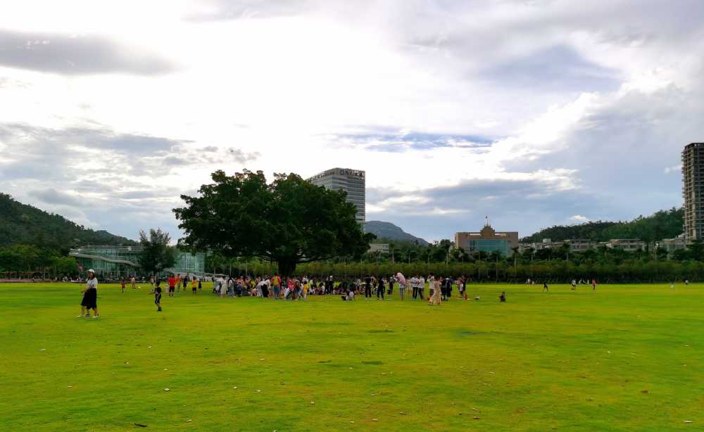 公园里的风景1