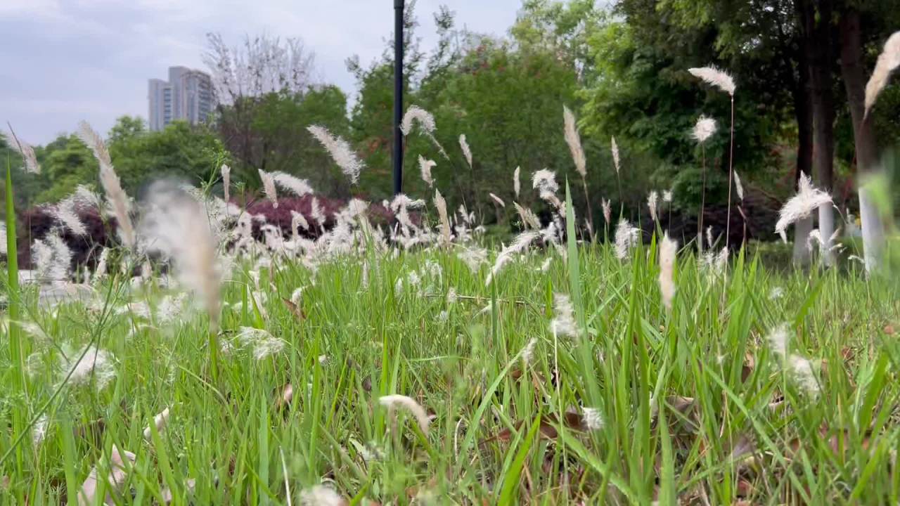 风吹草低见城楼