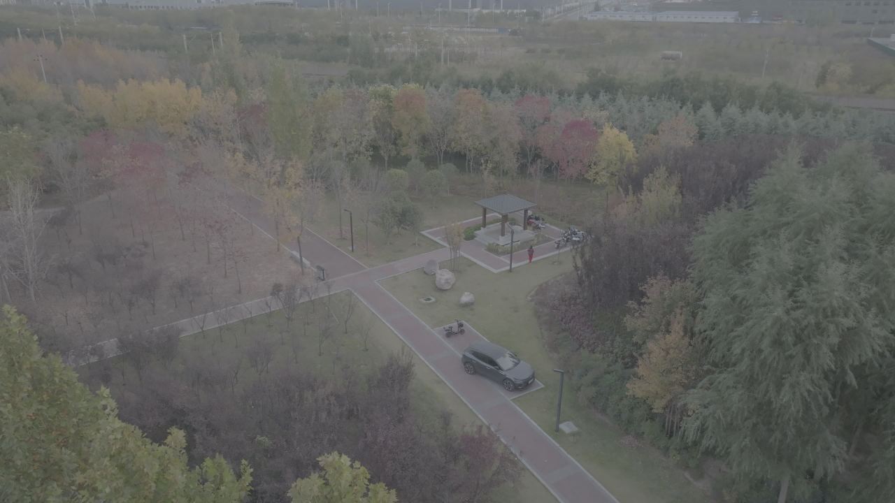 公园中的火车