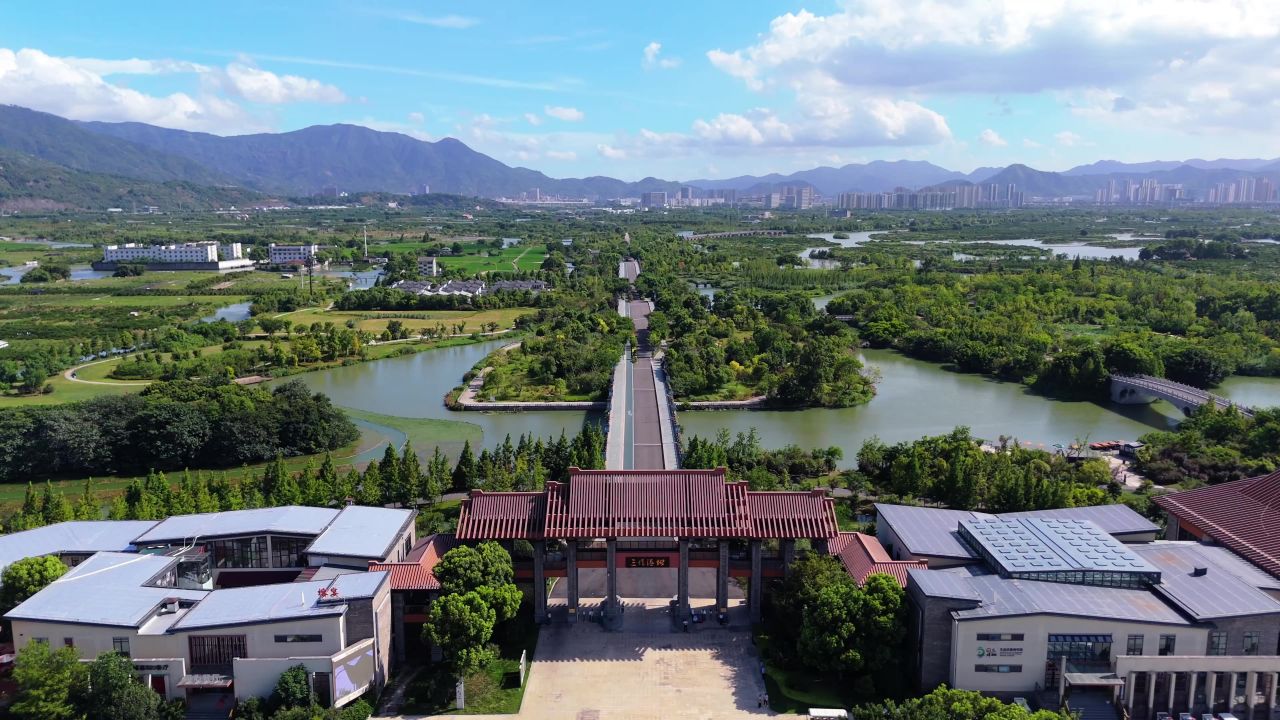 温州三垟湿地 13