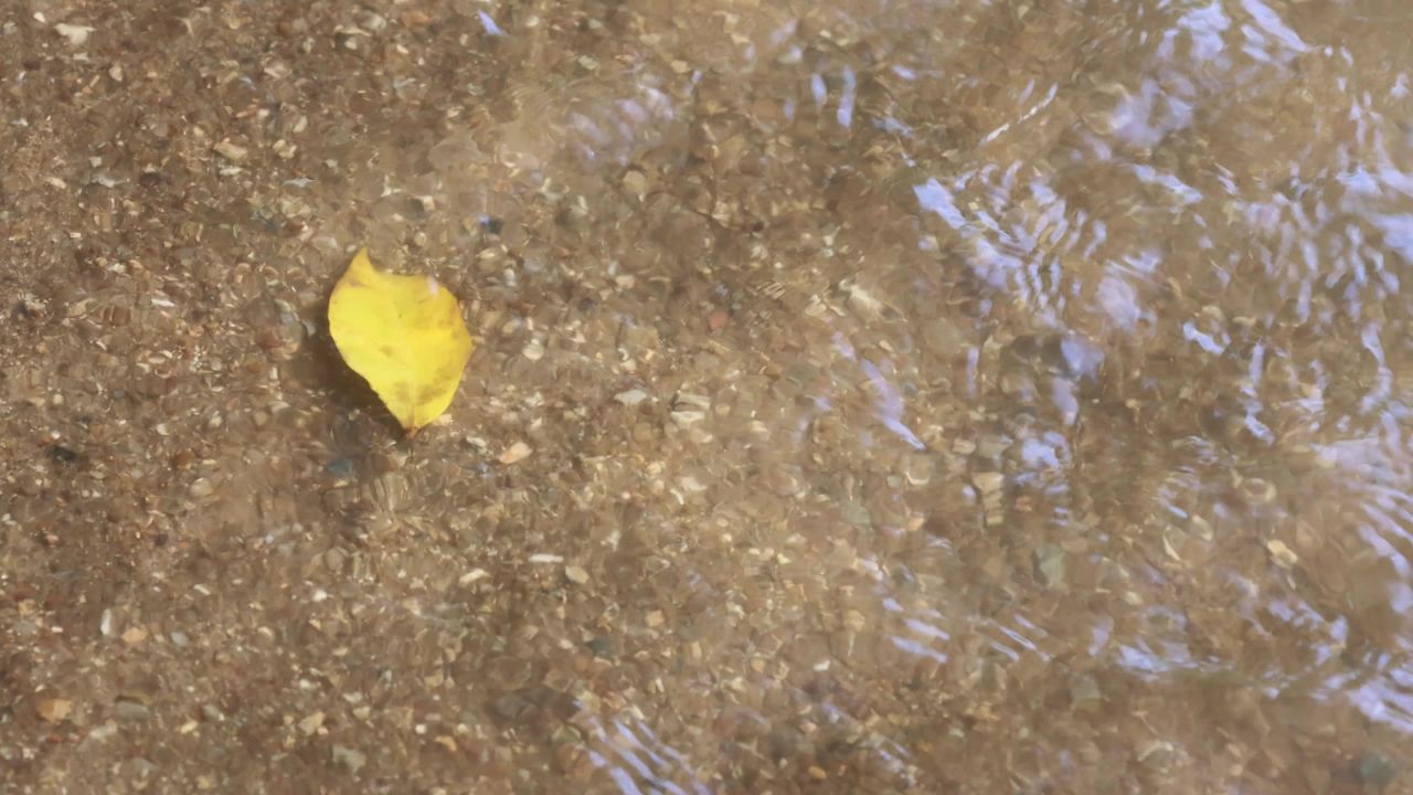 4K小溪清澈流水5