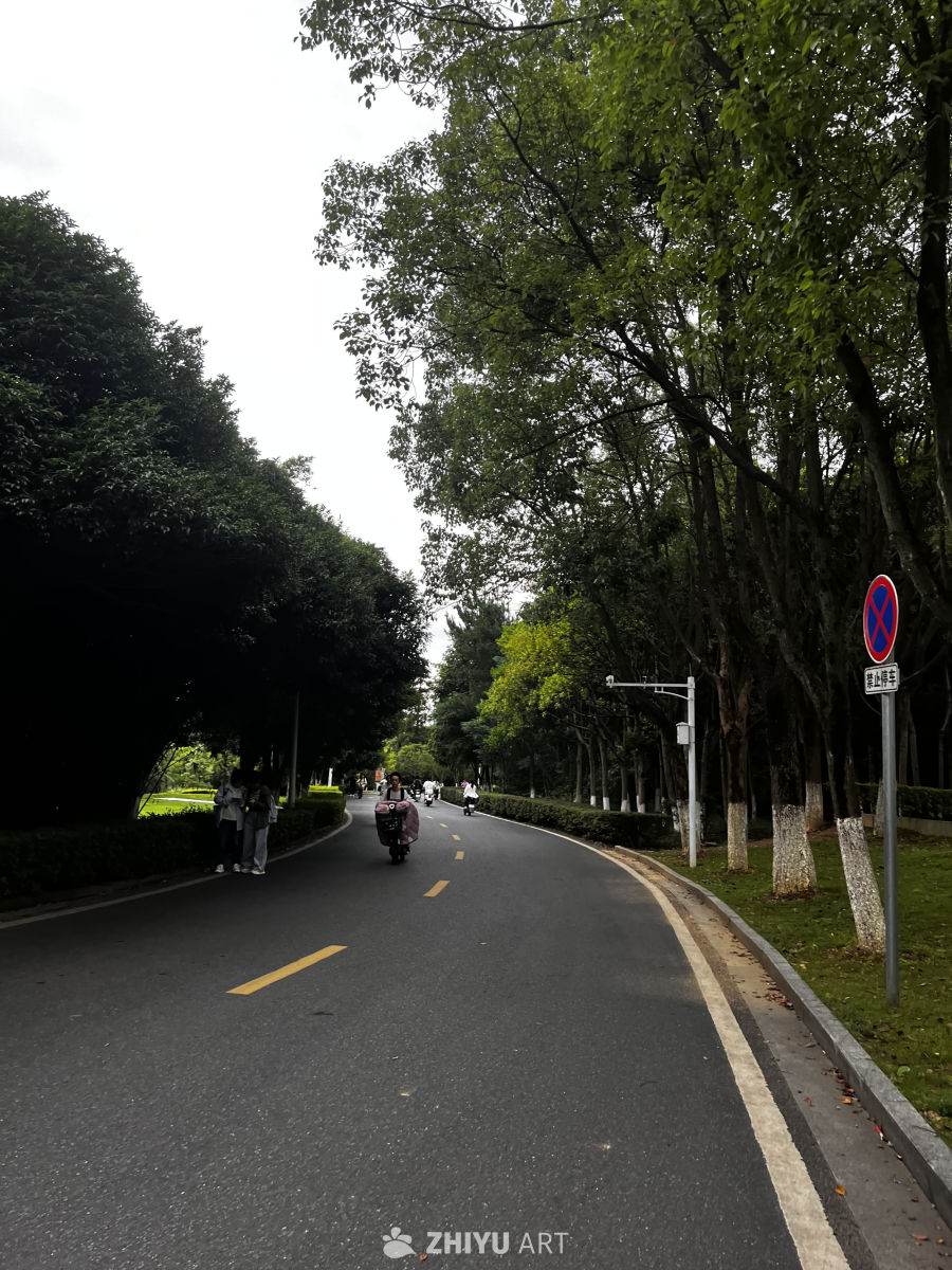 城市绿道的宁静时光