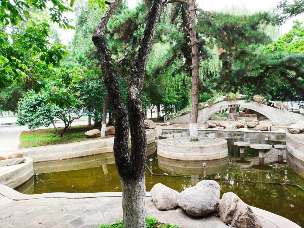 东北大学风景2