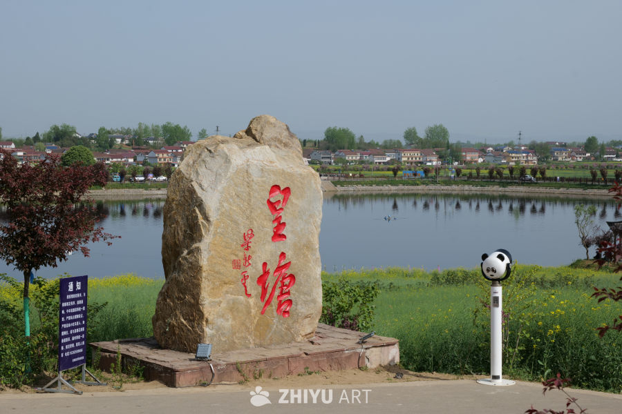 油菜花海 4