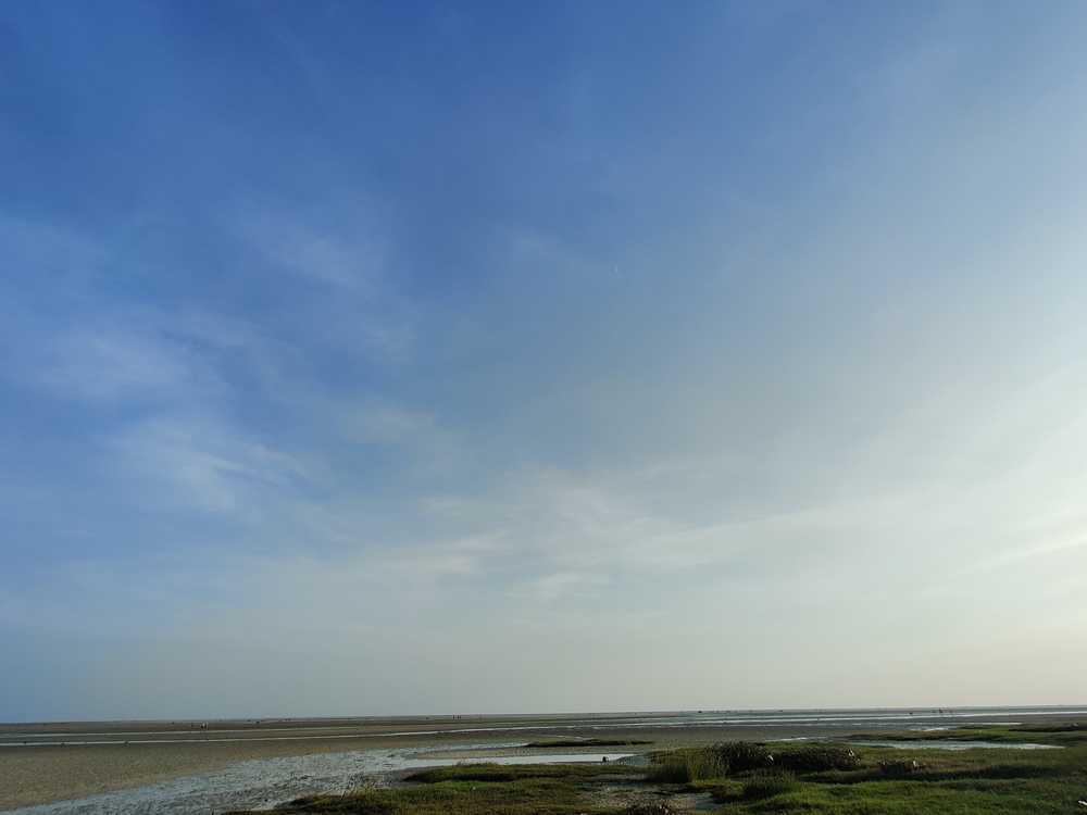 大海