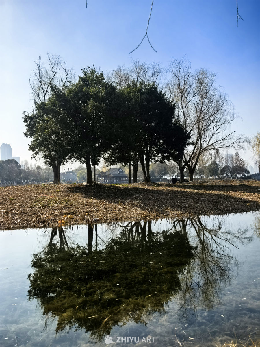 同一片天空之境