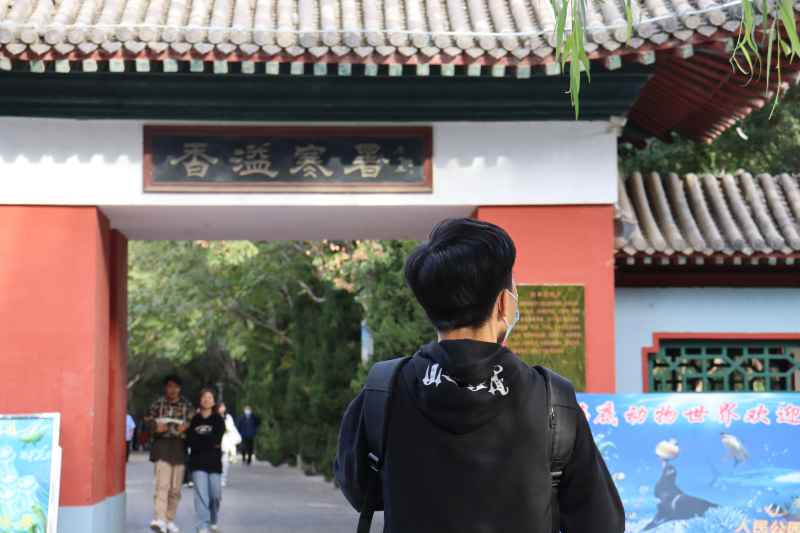 春游随拍1 13