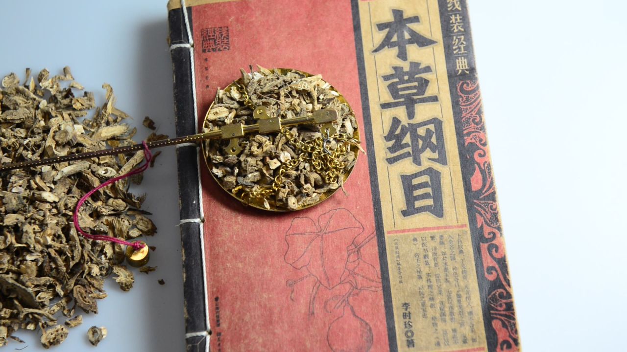 毛前胡 23