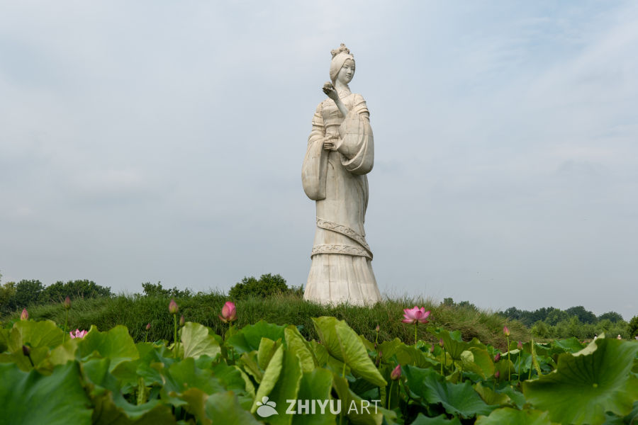 荷花 131