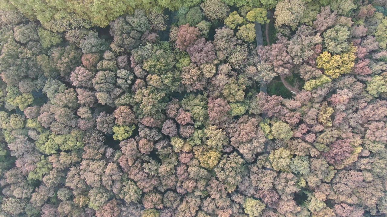江苏南京城市风光旅游景区地标建筑航拍 