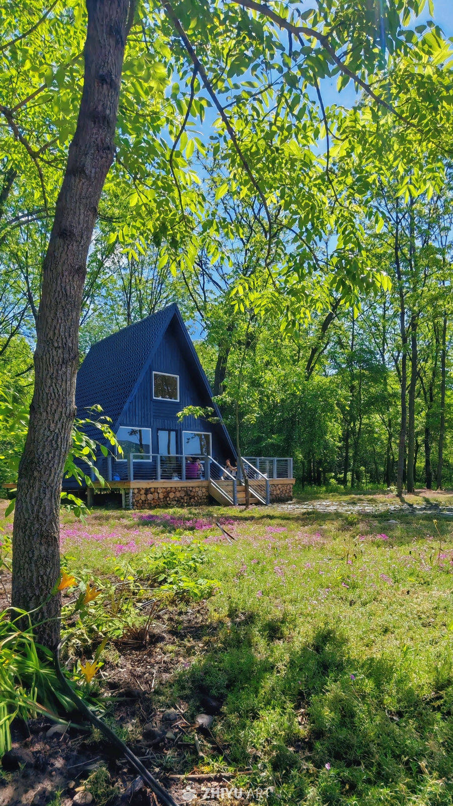 蓝天织春 蓝舍花海