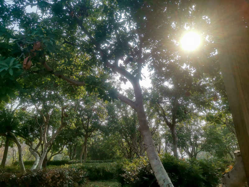 湖南长沙西湖公园摄影图