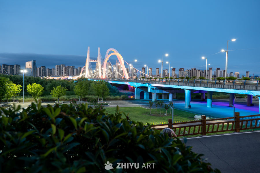 夜景下的城市大桥 40
