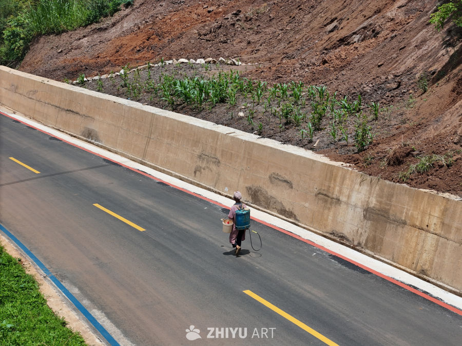 公路旁的农妇