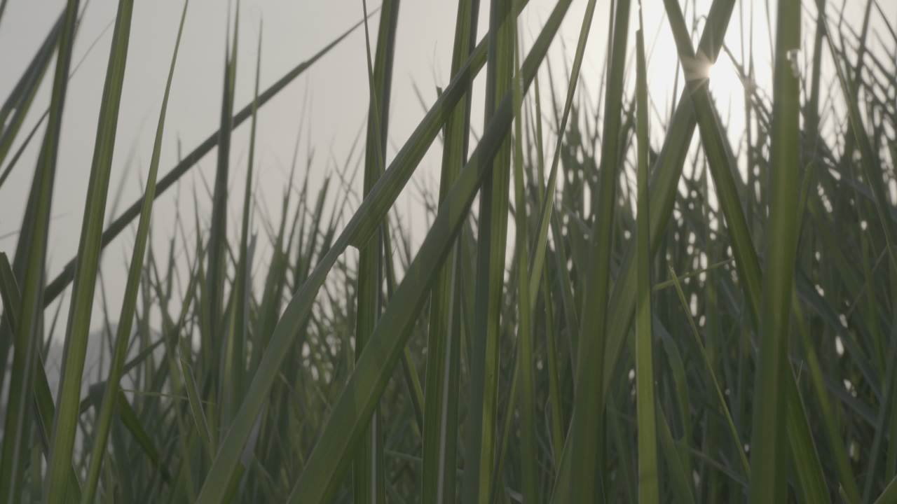 宜昌江边 45