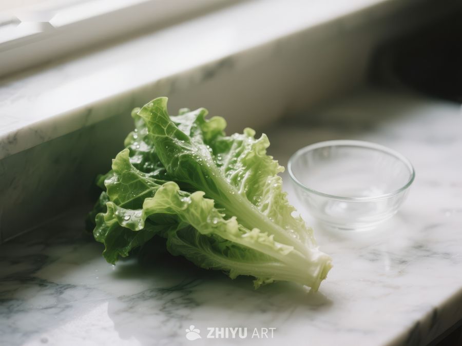 新鲜生菜置于大理石台面 611