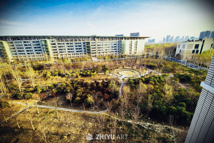 城市绿洲：现代建筑与公园景观